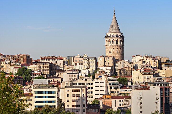 Istanbul Old and Modern Tour with Lunch and Bosphorus Cruise
