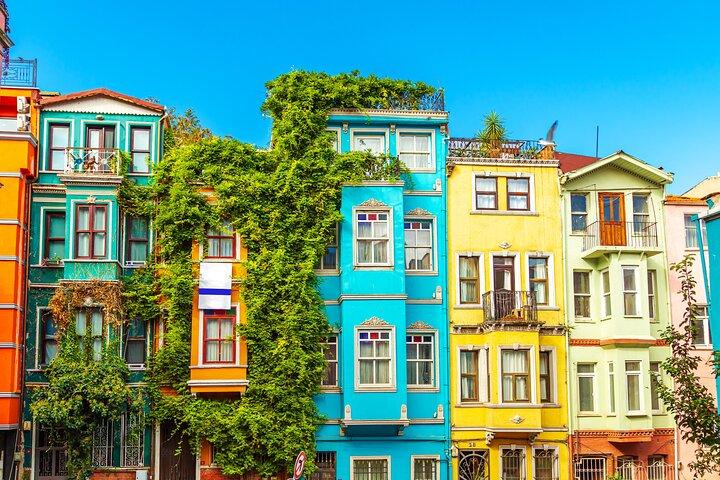 Istanbul Old and Modern Tour with Lunch and Bosphorus Cruise
