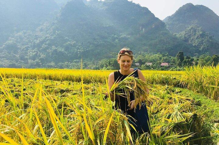 Mai Chau Pu Luong Entdeckung 3 Tage 2 Nächte Tour