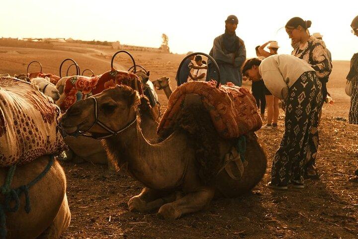 Marrakech : Cena di Agafay con quad e giro in cammello al tramonto