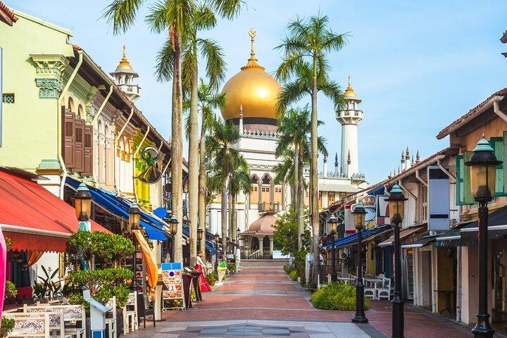 Privat halvdagstur til Singapore