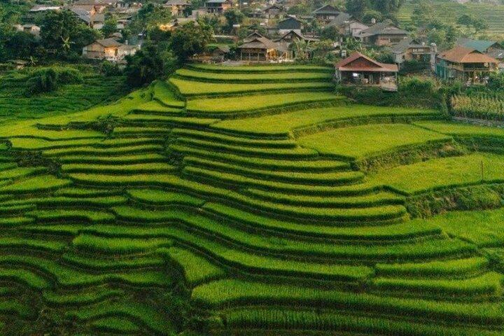 Tour di mezza giornata a Sapa