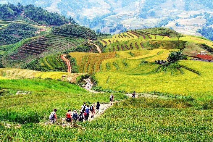 Sapa halve dag trektocht