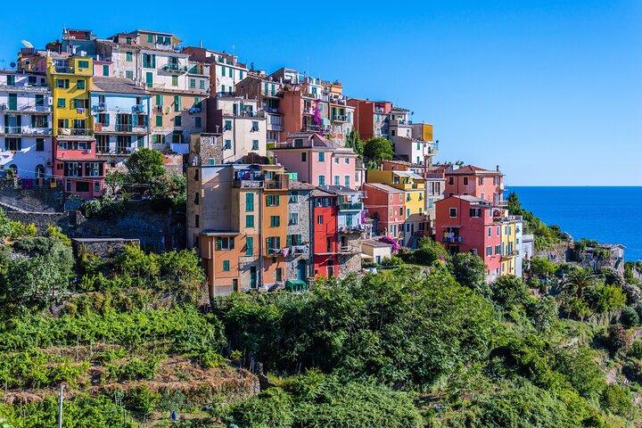 Tagesausflug Cinque Terre mit optionaler Wanderung oder Pisa ab Florenz