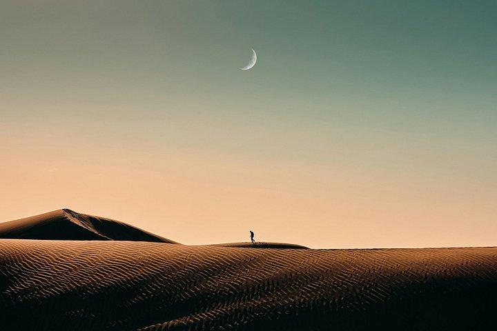 Doha Night Desert Safari com Camel Ride & Dune Bashing