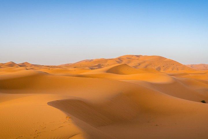 Doha Night Desert Safari com Camel Ride & Dune Bashing