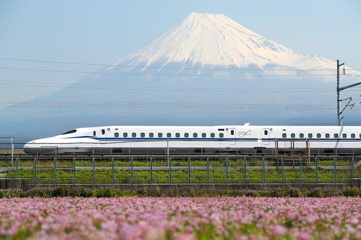 Tóquio a Kyoto Bullet Train Trip com 1 - Dia Metro e Pass de ônibus