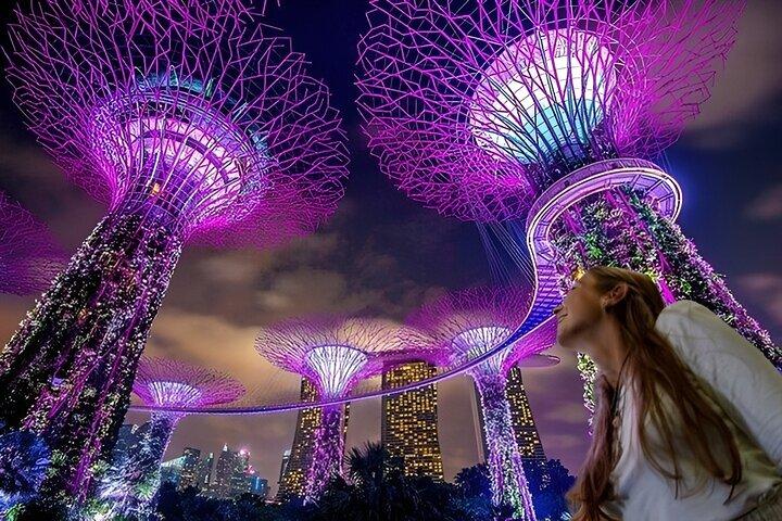 Singapore begeleide nachttour met 2 lichtshows en riviercruise