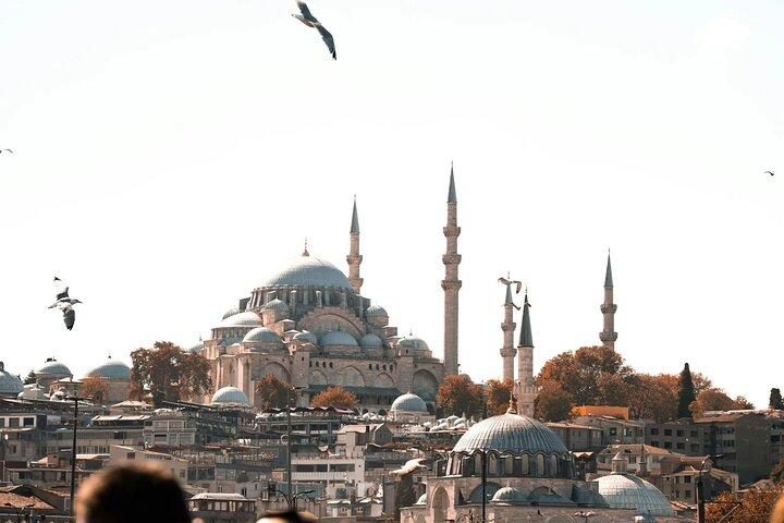 Cruise Passenger Exclusive Private Istanbul Highlights Tour