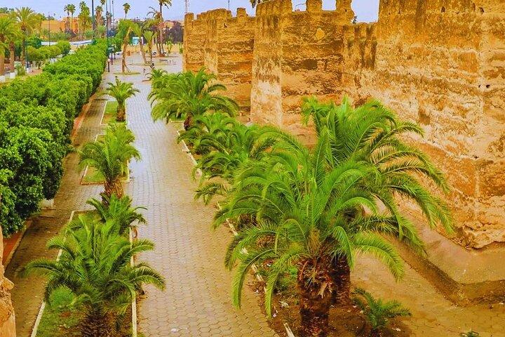 Day Trip From Marrakech To Taroudant with Lunch