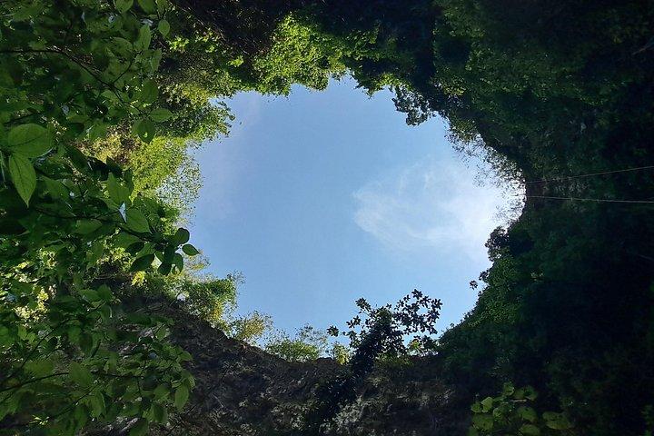 日帰り旅行：ジョンブラン洞窟の魔法とティマン島のスリル