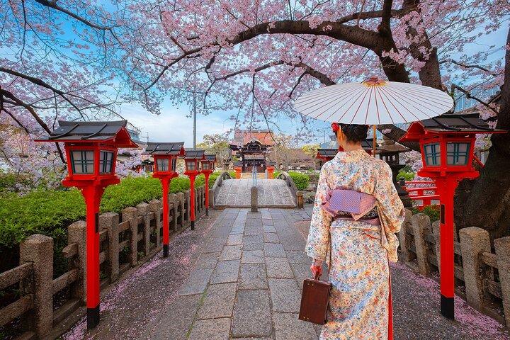 Kyoto Private Customizable Day Tour med guide og køretøj