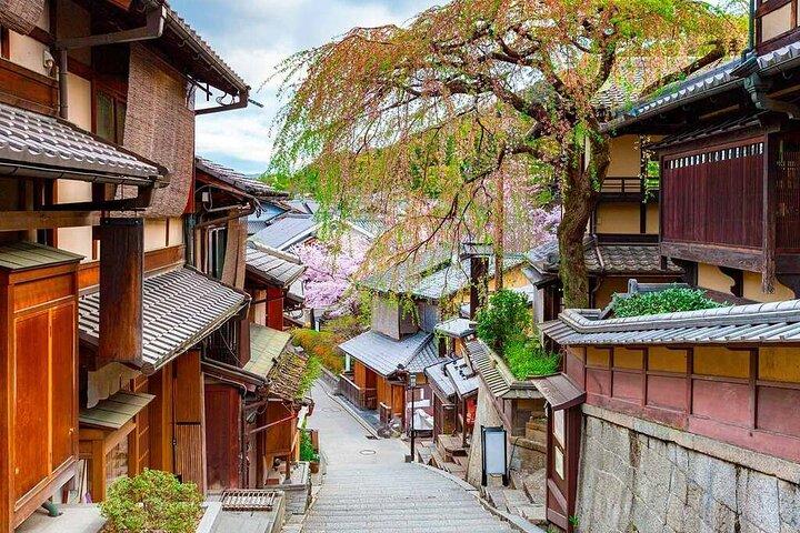 京都：英語ガイド＆ホテルピックアップ付きプライベートハイライトツアー