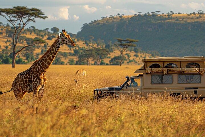 Safari kenyan classique de 7 jours