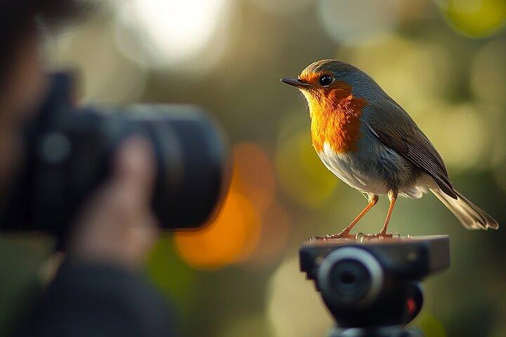 Expédition d'observation des oiseaux au Kenya