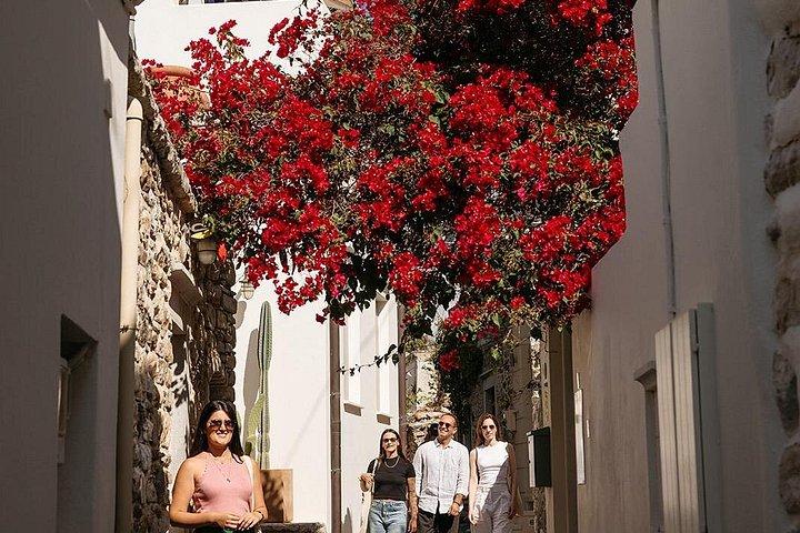 Half Day Naxos Village Private Tour