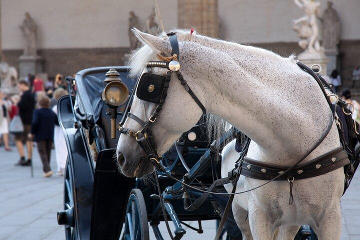 フィレンツェで馬車に乗る