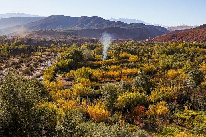 Atlas Mountains Tour from Marrakech: Camel Ride & Berber Lunch