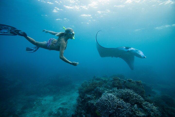 Nusa Penida Manta Point ou Manta Bay Snorkeling Trip à Bali