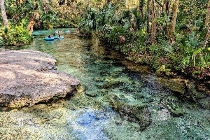 Rock Springs River Tubing & Apopka Wildlife Adventure com Pickup