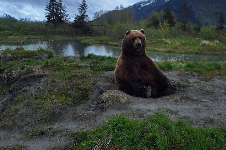 Dagtour in Turnagain