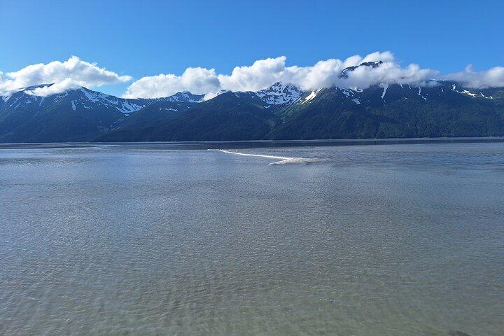 Dagtour in Turnagain
