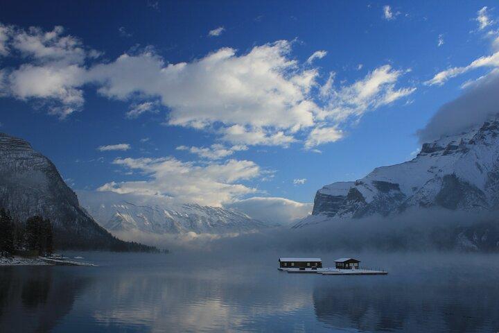 4 uur durende Banff Safari Drive 's avonds Wildlife Viewing en fototour