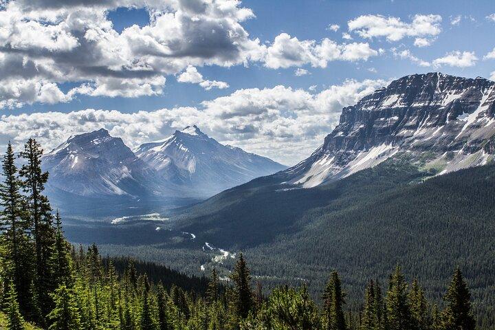 4 uur durende Banff Safari Drive 's avonds Wildlife Viewing en fototour