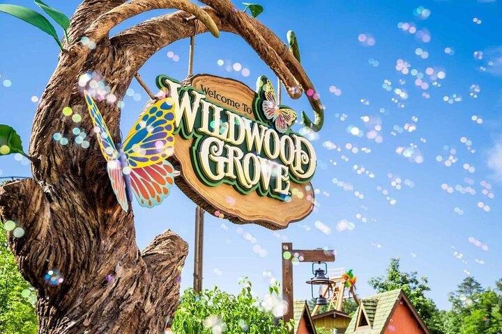 Dollywood Day Trip de Nashville