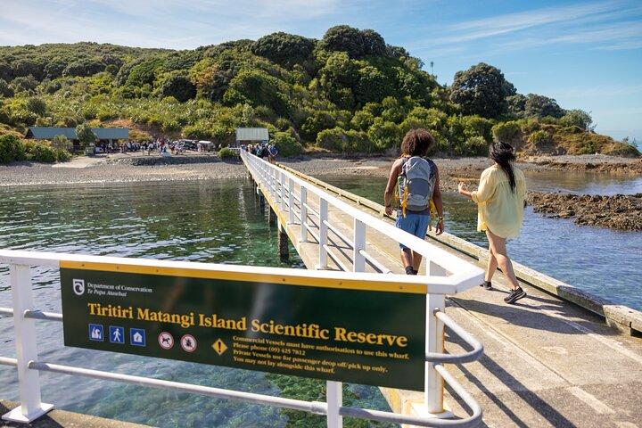 Plongée avec tuba guidée et exploration des îles à Auckland
