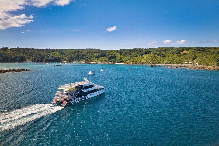 Plongée avec tuba guidée et exploration des îles à Auckland