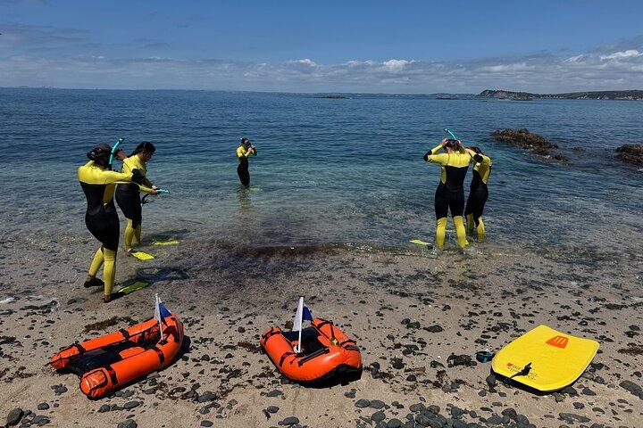 Plongée avec tuba guidée et exploration des îles à Auckland