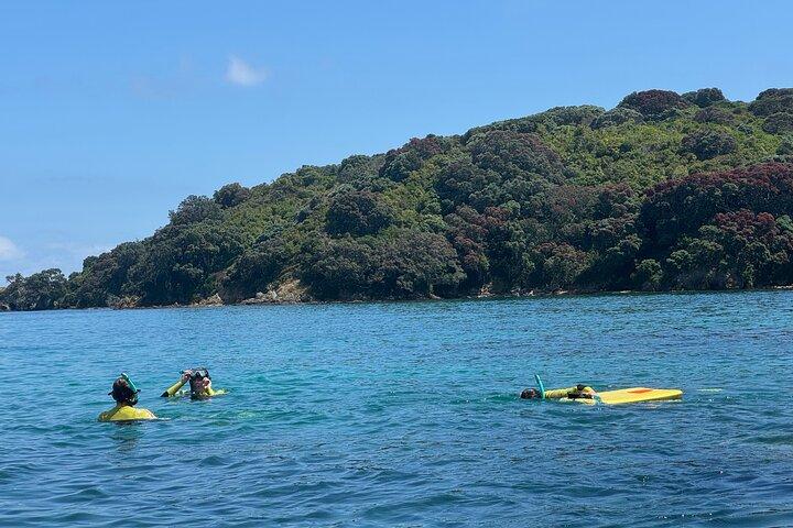 Plongée avec tuba guidée et exploration des îles à Auckland