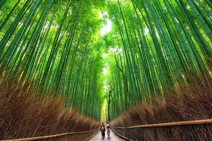 Workshop zur Herstellung von Essstäbchen in Arashiyama, Kyoto