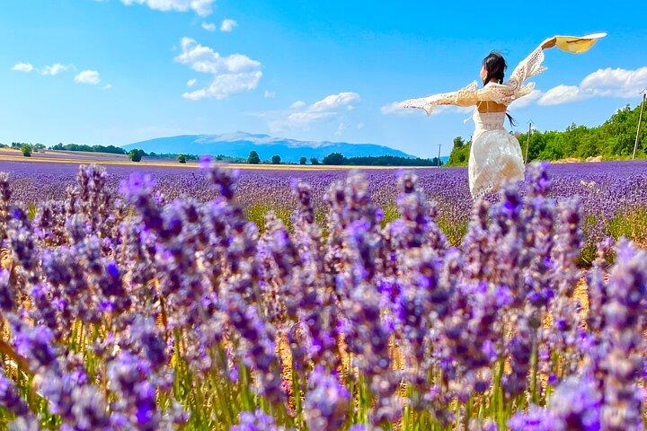 Un día en los campos de lavanda y pueblos de Provenza