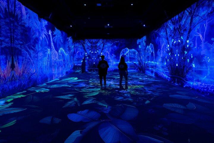Esperienza immersiva di arte digitale a Sofia