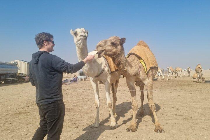 Kuwait: tour di mezza giornata della città e del deserto con pick-up e drop-off