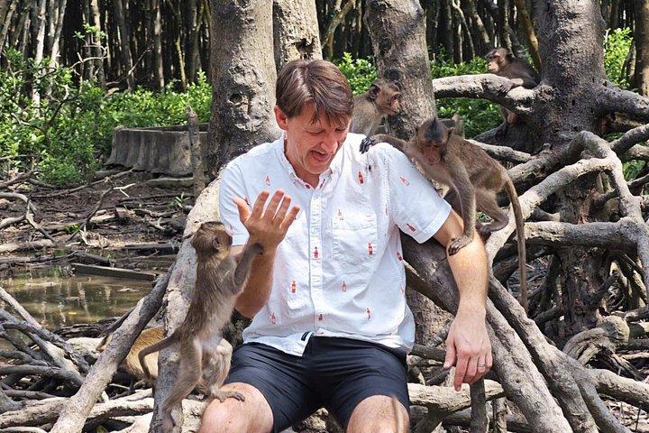 Can Gio Mangrove Biosphere Reserve Canoe & Wildlife Tour