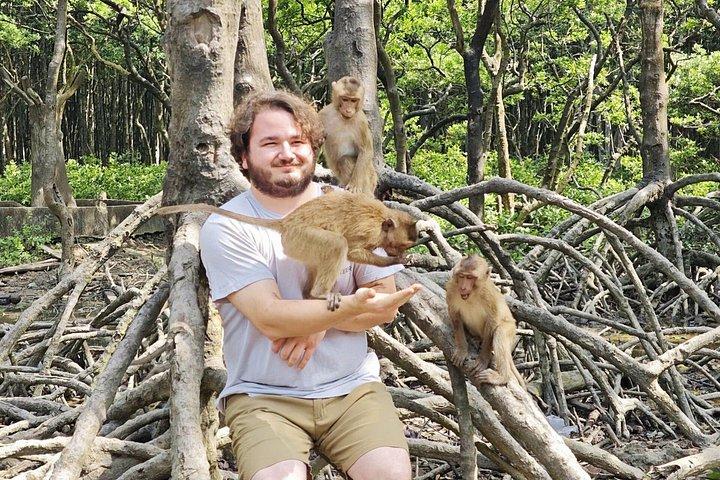 Can Gio Mangrove Biosphere Reserve Canoe & Wildlife Tour