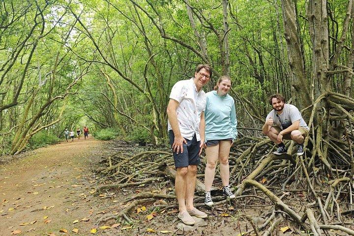 Can Gio Mangrove Biosphere Reserve Canoe & Wildlife Tour