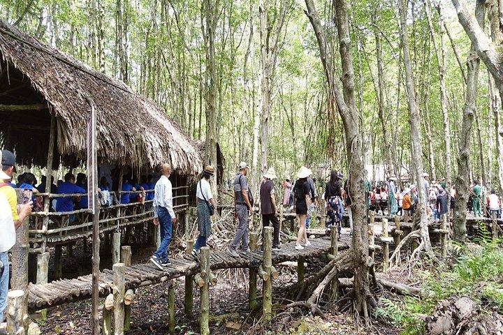 Can Gio Mangrove Biosphere Reserve Canoe & Wildlife Tour