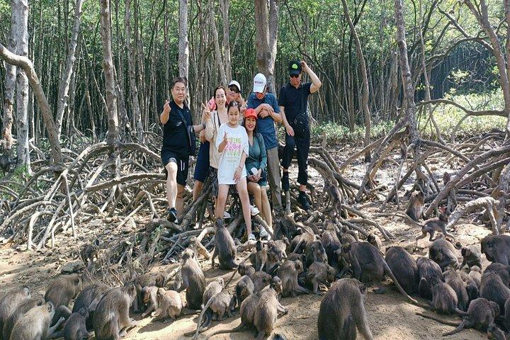 Can Gio Mangrove Biosphere Reserve Canoe & Wildlife Tour
