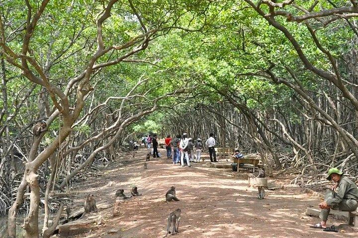 Can Gio Mangrove Biosphere Reserve Canoe & Wildlife Tour