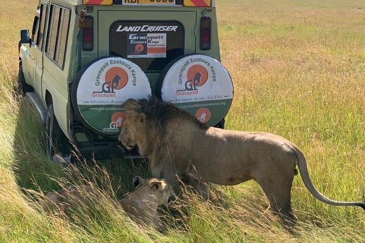 15 Days Kenya Wilderness Gateway With Diani Beach Holiday