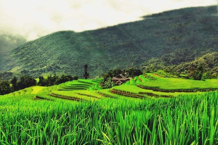 Sapa Half Day Trekking Y Linh Ho with Lao Chai and Ta Van