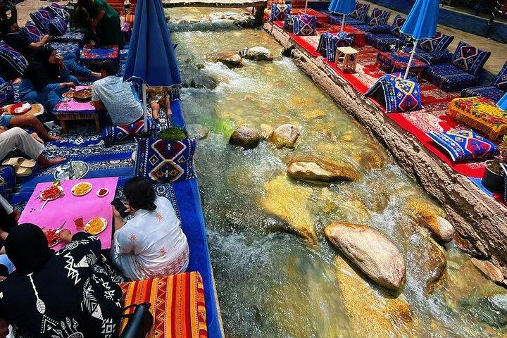 Valle di Ourika da Marrakech : Giardino ANIMA, Cascate e Atlante