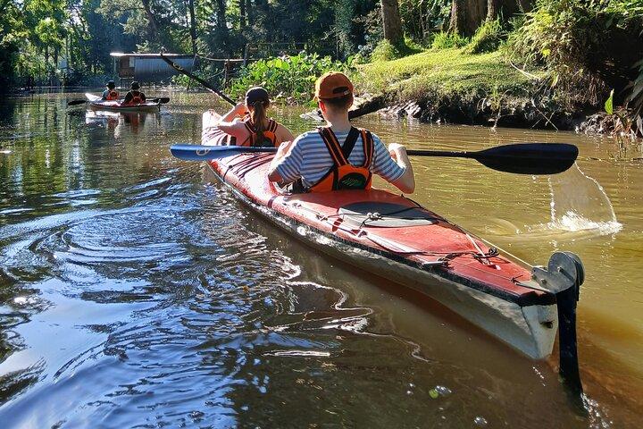 Aventura de Kayaking no Delta do Rio Paraná