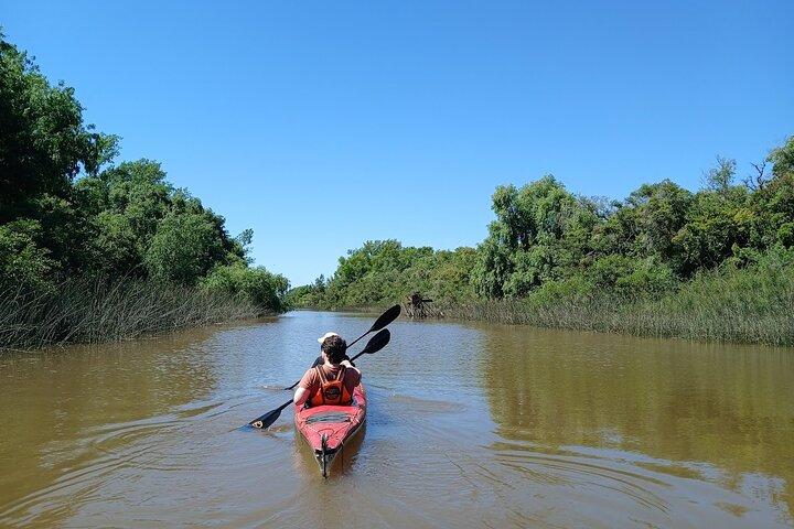 Aventura de Kayaking no Delta do Rio Paraná