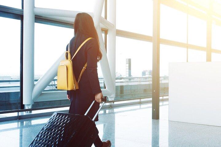 Privé elektrische transfer Parijs → Orly | Enkele reis
