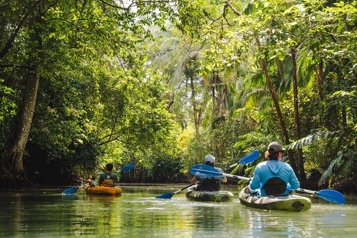 Kayak de mangrove